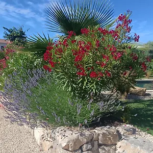 Douce Provence Magnifique Neuf Avec Jardin Proche Du Centre , Vaison-la-Romaine France